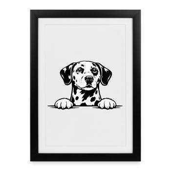 Dalmatian with paws - Framed poster (27 × 37 cm) - black - Front