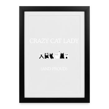Crazy Cat Lady And Pride - Framed poster (27 × 37 cm) - black - Front