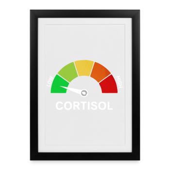 Échelle de cortisol bas - Affiche encadrée (27 × 37 cm) - noir - Devant
