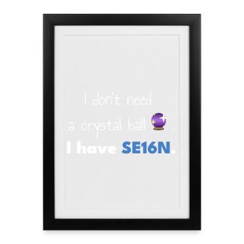 SAP-SE16N-CrystalBall - Gerahmtes Poster (27 × 37 cm) - Schwarz - Vorne