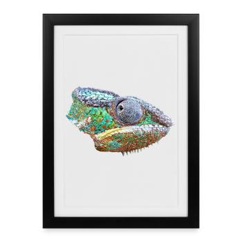 Illustration caméléon coloré - Affiche encadrée (27 × 37 cm) - noir - Devant