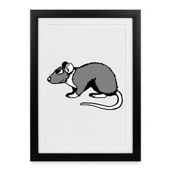 Rat Cool Lunettes de soleil Côté Roggeur drôle - Affiche encadrée (27 × 37 cm) - noir - Devant