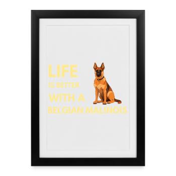 Life Is Better With A Belgian Malinois Cute dog - Framed poster (27 × 37 cm) - black - Front