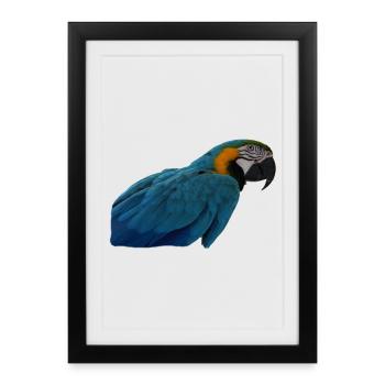 Perroquets oiseau T-shirt cadeau - Affiche encadrée (27 × 37 cm) - noir - Devant