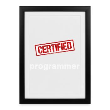 Programmeur - Affiche encadrée (27 × 37 cm) - noir - Devant