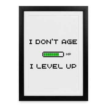 I Don't Age I Level Up – Pixel Gamer - Affiche encadrée (27 × 37 cm) - noir - Devant