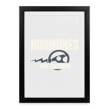 Périménopause Humour Périménopause - Affiche encadrée (27 × 37 cm) - noir - Devant