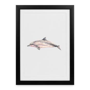 Sotalie - Tucuxi - dauphin du fleuve Pink Dolphin - Affiche encadrée (27 × 37 cm) - noir - Devant