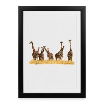 Giraffes - Framed poster (27 × 37 cm) - black - Front