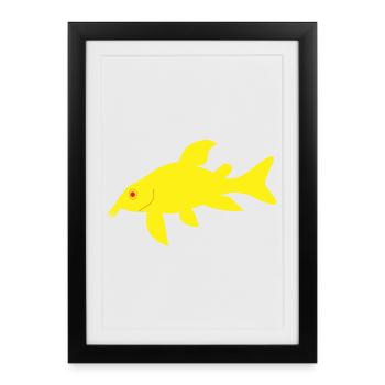 Corydoras rouges et jaunes - Affiche encadrée (27 × 37 cm) - noir - Devant