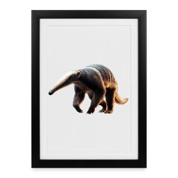 Anteater Tamandua Anteater Large anteaters - Framed poster (27 × 37 cm) - black - Front