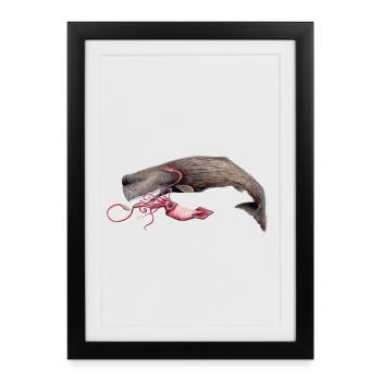 Avec cachalot calmars - cachalot - Cachalot - Affiche encadrée (27 × 37 cm) - noir - Devant
