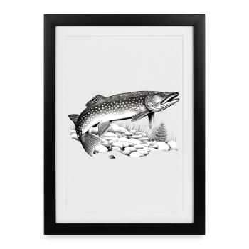Brochet - Affiche encadrée (27 × 37 cm) - noir - Devant