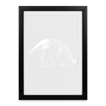 Anteater Tamandua Anteater Large anteaters - Framed poster (27 × 37 cm) - black - Front