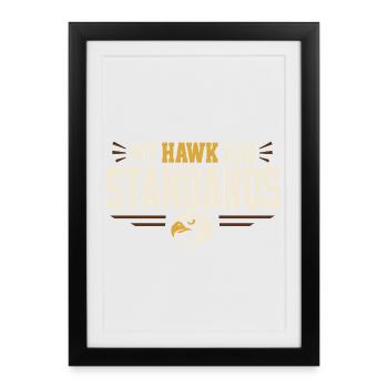 Falconry Falconers Birds of Prey Birds of Prey Guides - Framed poster (27 × 37 cm) - black - Front