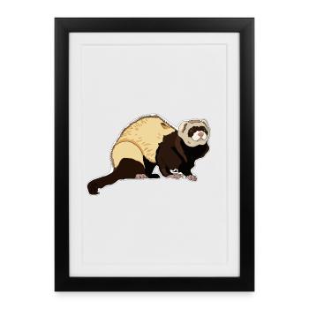 Ferret - Framed poster (27 × 37 cm) - black - Front