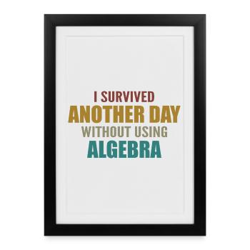 I survived without doing algebra today - Framed poster (27 × 37 cm) - black - Front