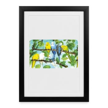 Budgies on a tree - pastel chalk - Framed poster (27 × 37 cm) - black - Front
