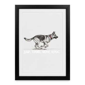 Répétition du tunnel de saut du berger allemand Agility - Affiche encadrée (27 × 37 cm) - noir - Devant