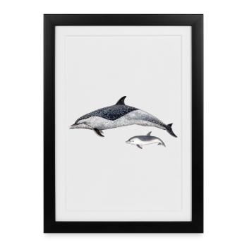 dauphin tacheté - Affiche encadrée (27 × 37 cm) - noir - Devant