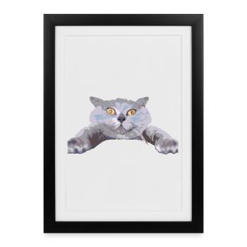 Chat - - Affiche encadrée (27 × 37 cm) - noir - Devant
