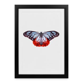 Butterfly with blue and red spots - Framed poster (27 × 37 cm) - black - Front