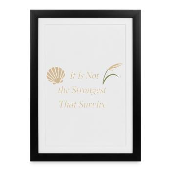 Charles Darwin Gift Natural - Framed poster (27 × 37 cm) - black - Front