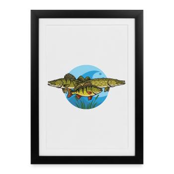 Perche, brochet, zander, prédateur, pêche - Affiche encadrée (27 × 37 cm) - noir - Devant