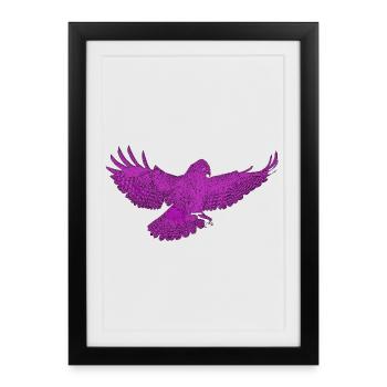 Oiseau de proie en vol, de couleur différente - Affiche encadrée (27 × 37 cm) - noir - Devant