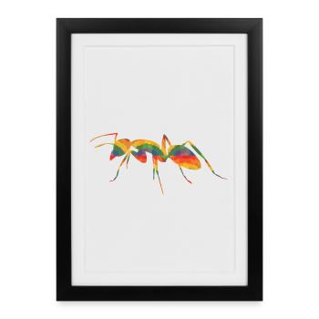 Colored ants T-Shirts - Framed poster (27 × 37 cm) - black - Front