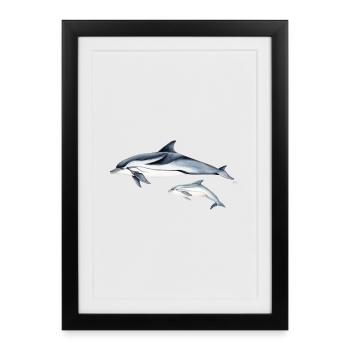 Liste Dolphin - dauphin rayé - dauphin - Affiche encadrée (27 × 37 cm) - noir - Devant