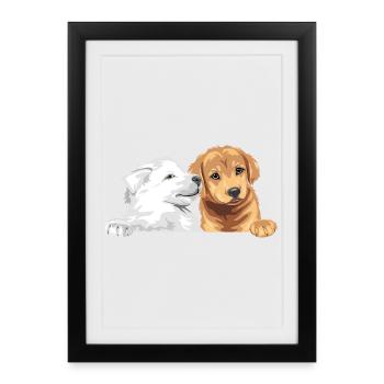 Berger suisse blanc et Golden Retriever - Affiche encadrée (27 × 37 cm) - noir - Devant