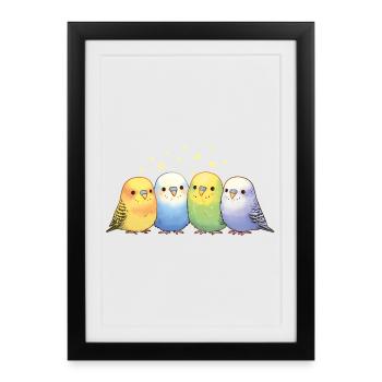 Budgies - Affiche encadrée (27 × 37 cm) - noir - Devant