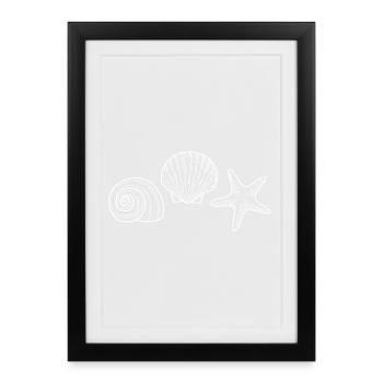 Coquillage, Étoile de mer, Escargot - blanc - Affiche encadrée (27 × 37 cm) - noir - Devant