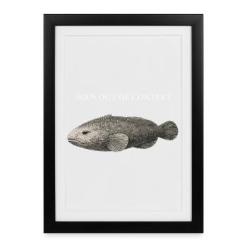Blobfish Seen Out Of Context – Deep Sea Fish - Framed poster (27 × 37 cm) - black - Front