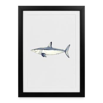 Requin taupe bleu mako - requin-taupe bleu - Réquin - Affiche encadrée (27 × 37 cm) - noir - Devant