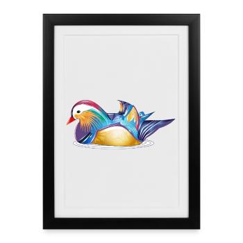 Canard mandarin coloré sur l’eau – élégance colorée - Affiche encadrée (27 × 37 cm) - noir - Devant