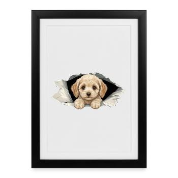 Cockapoo Spieur Mignon, papier déchiré par un Goldendoodle - Affiche encadrée (27 × 37 cm) - noir - Devant
