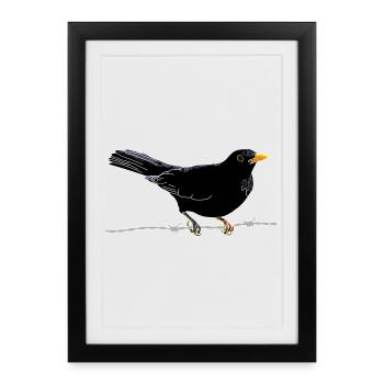Motif naturel du merle sur siège en fil de fer - Affiche encadrée (27 × 37 cm) - noir - Devant