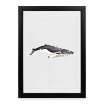 Yubarta - Baleine à bosse - Humpback whale - Framed poster (27 × 37 cm) - black - Front