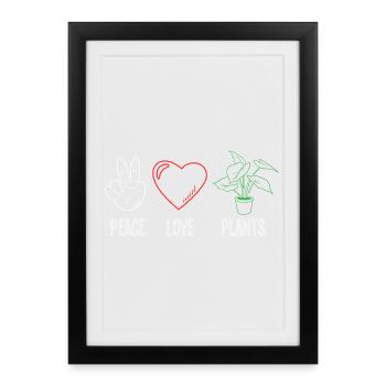 Amateur des plantes Paix Amour Plantes Fleurs succulentes - Affiche encadrée (27 × 37 cm) - noir - Devant