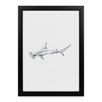 Tiburon martillon - Hammerhead shark - Requin - Framed poster (27 × 37 cm) - black - Front