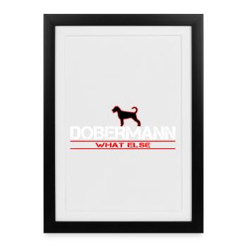 Dobermann what else ?! - Gerahmtes Poster (27 × 37 cm) - Schwarz - Vorne