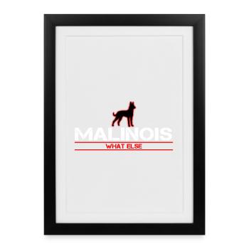 Malinois What else ?! - Gerahmtes Poster (27 × 37 cm) - Schwarz - Vorne