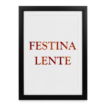 Festina Lente, citations latines - Affiche encadrée (27 × 37 cm) - noir - Devant