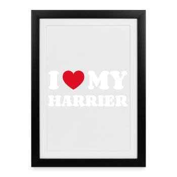 J'aime mon Harrier - Affiche encadrée (27 × 37 cm) - noir - Devant