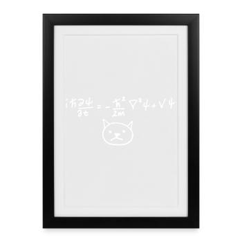 Physical Cat with Equation on White - Framed poster (27 × 37 cm) - black - Front