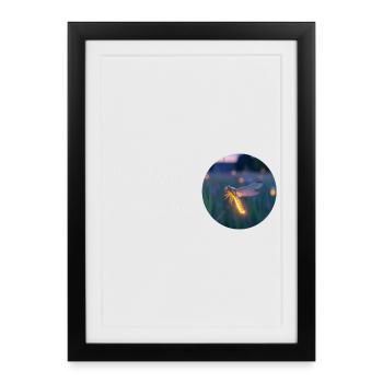 Be a light in this world – fireflies - Framed poster (27 × 37 cm) - black - Front