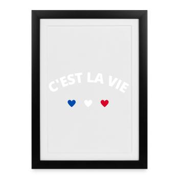C'est la vie - Affiche encadrée (27 × 37 cm) - noir - Devant