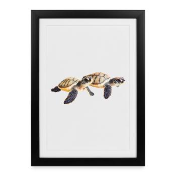 Double paire de bébé tortue de mer - Affiche encadrée (27 × 37 cm) - noir - Devant